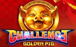Challenge Golden Pig